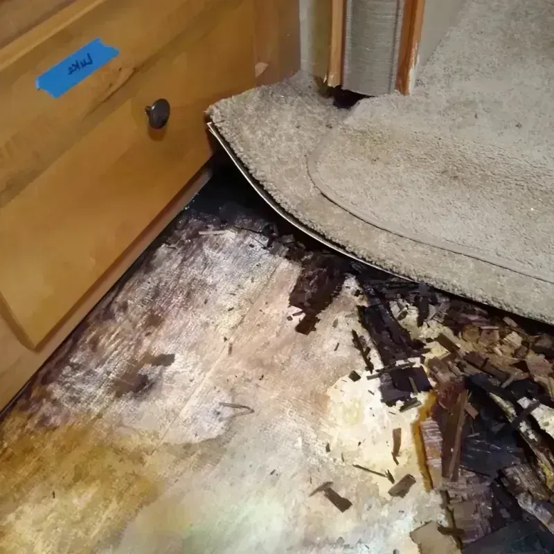 Wood Floor Water Damage in Luce County, MI